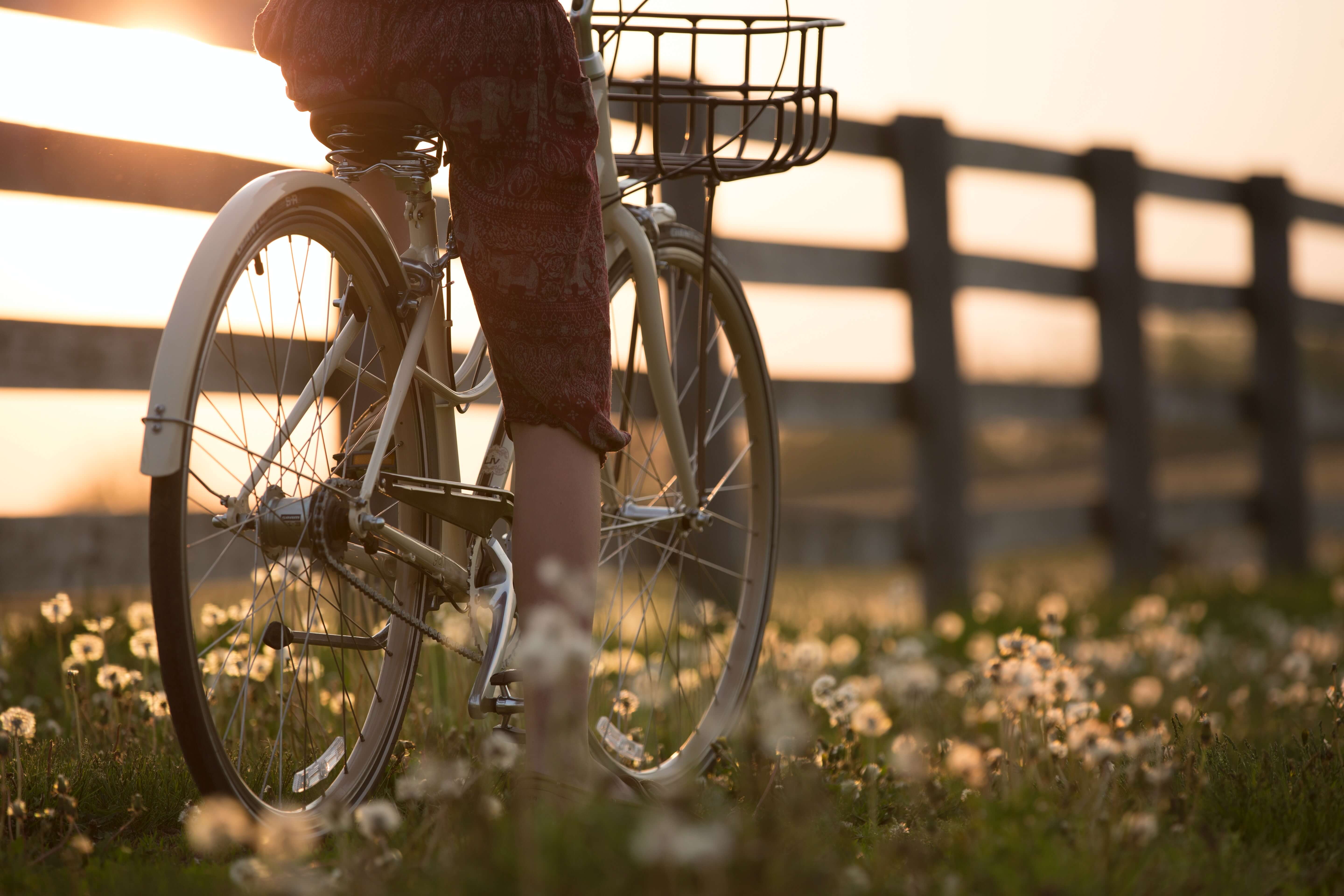 bicyclist