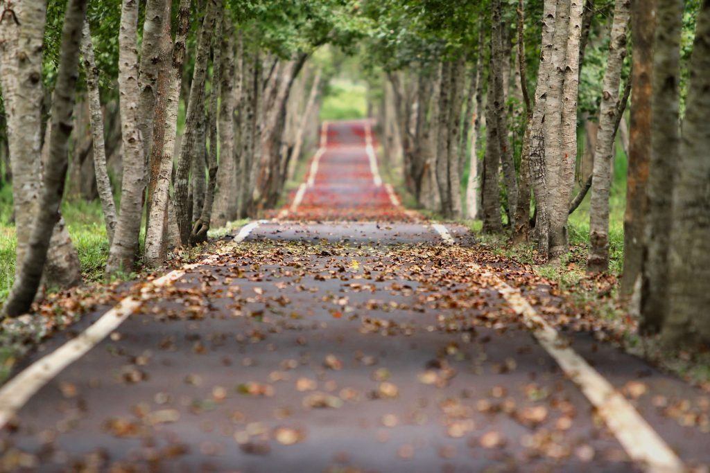 curvy road