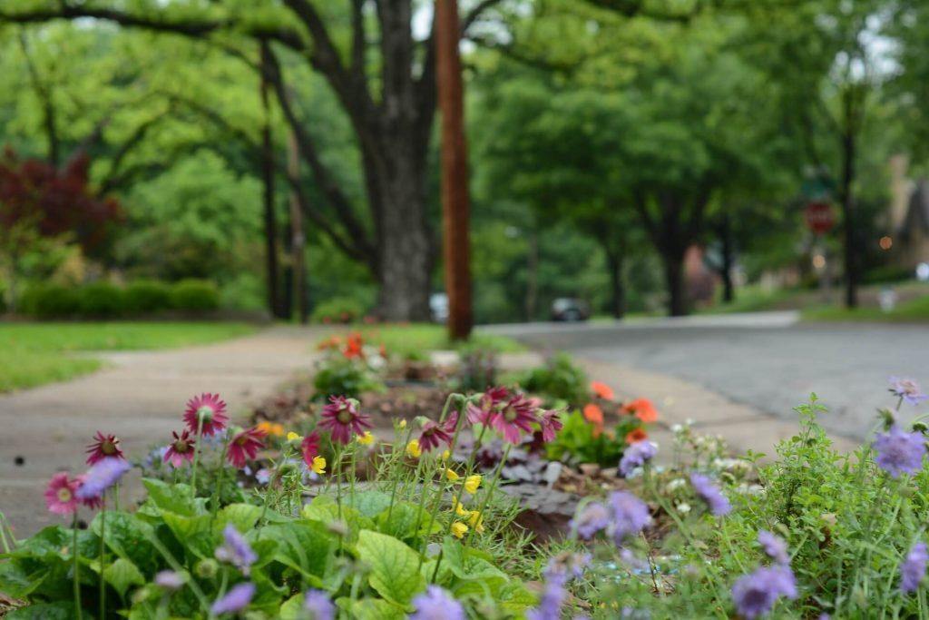 flowers