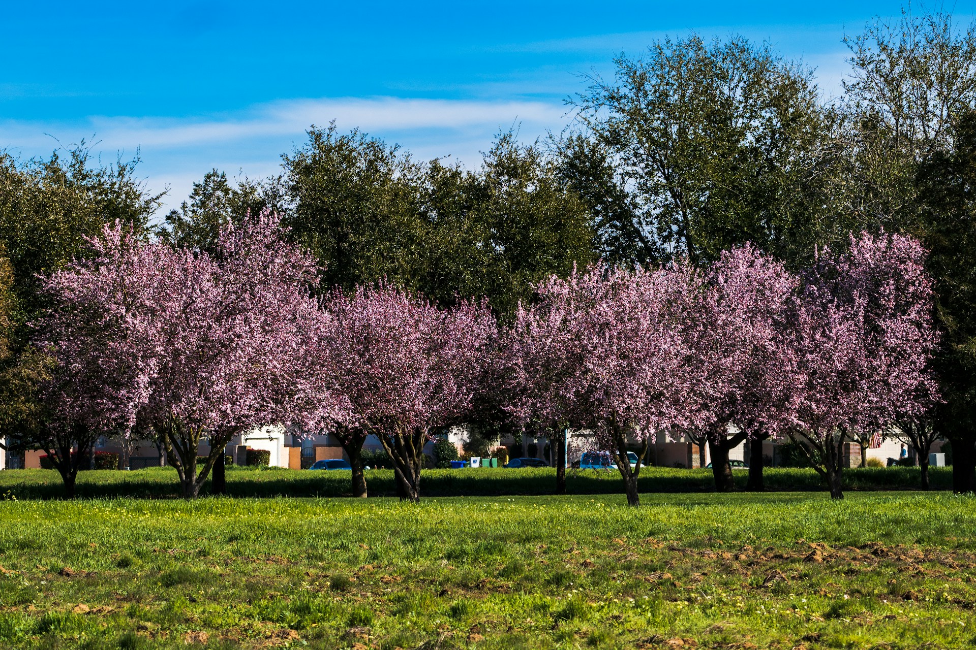 Elk Grove, CA personal injury lawyers