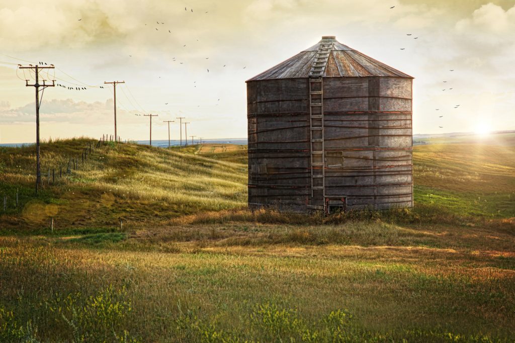 grain bin