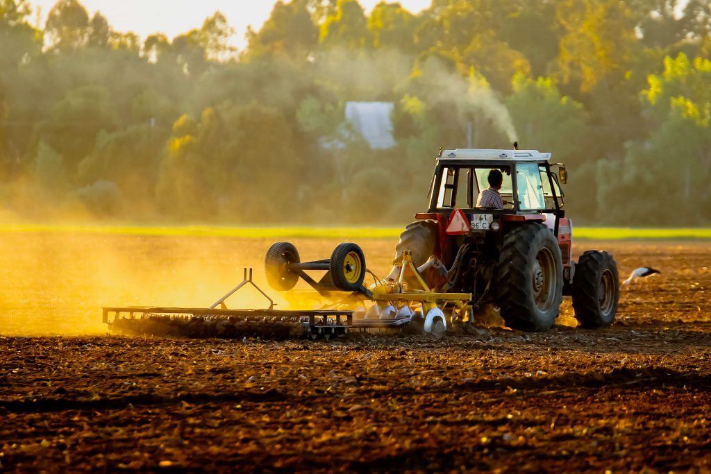 farmer