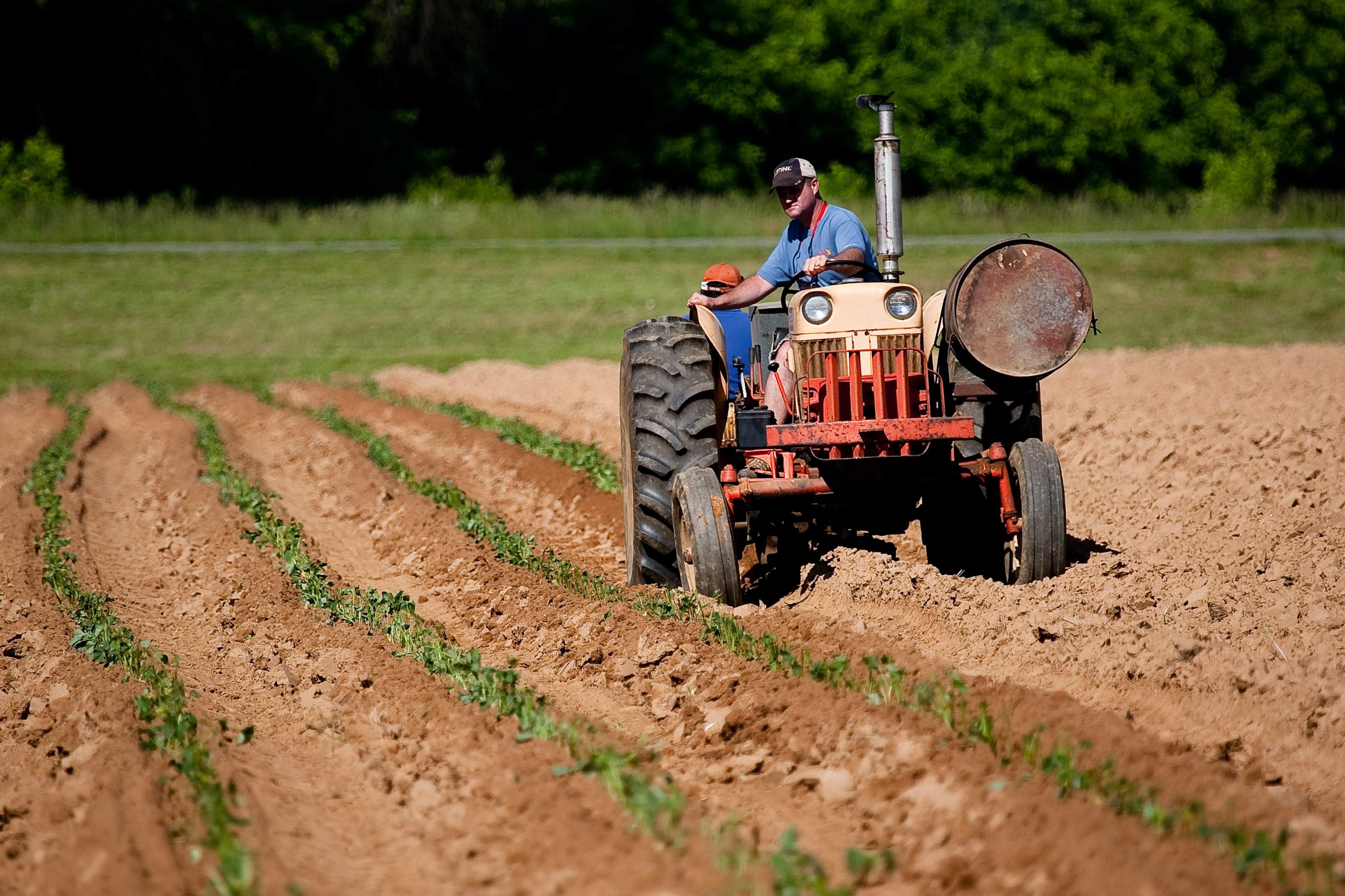 farmer