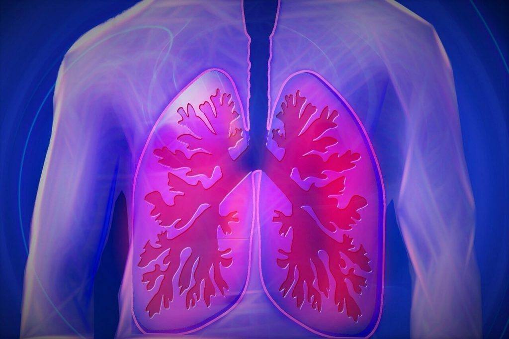 Sacramento Mesothelioma Lawyer