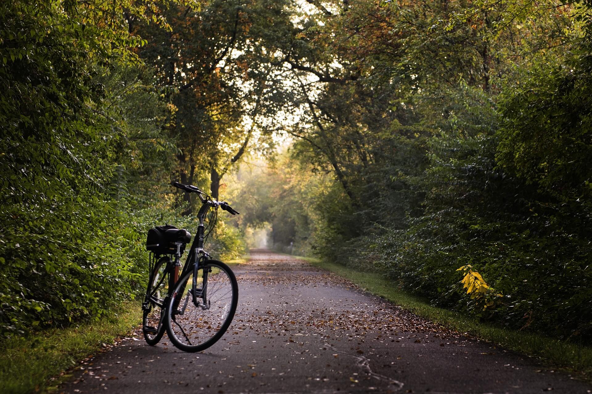 bicycle