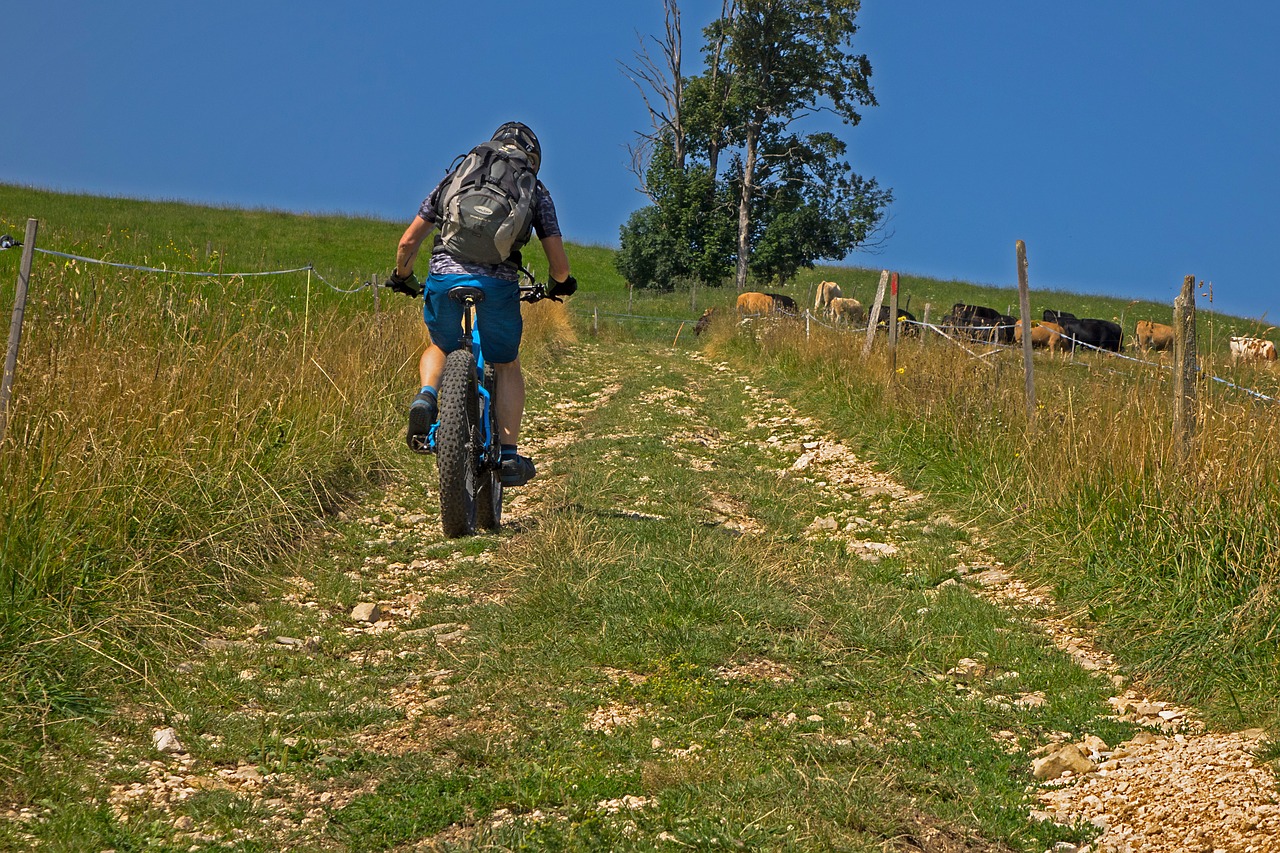 bicyclist